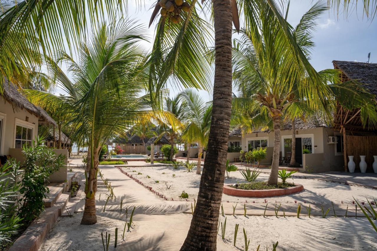 Horizon Of Michamvi Beach Zanzibar 外观 照片